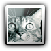 Avatar de CHAMELOT Jean-Louis