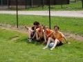 foot2009-036